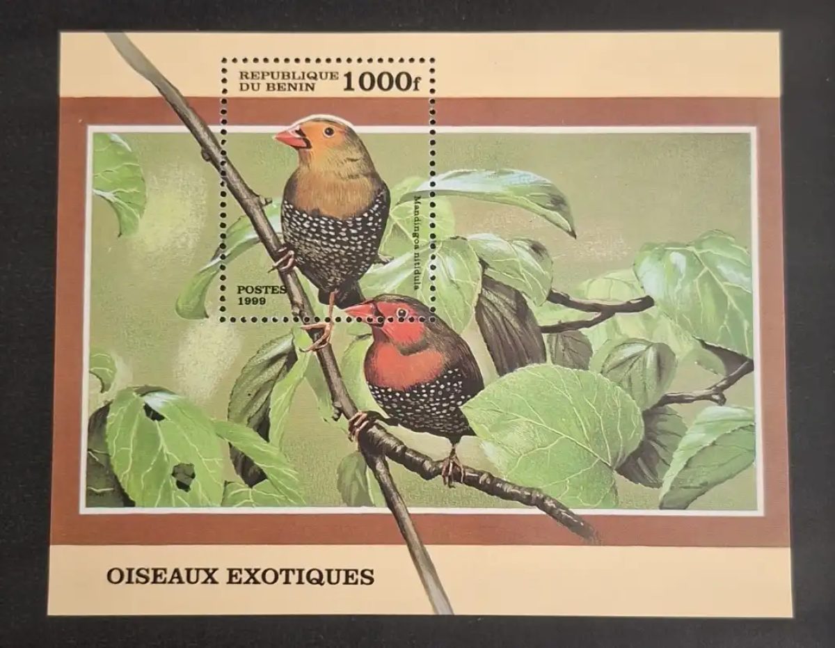 Bénin 1999 Mi. Bl. 45 Oiseaux exotiques Mandingoa nitidula faune
