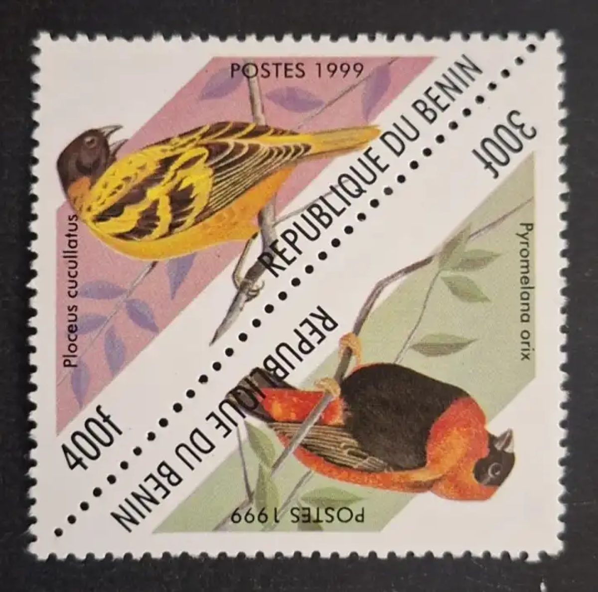 Benin 1999 Mi. 1220-1221 triangular birds Ploceus Pyromelana