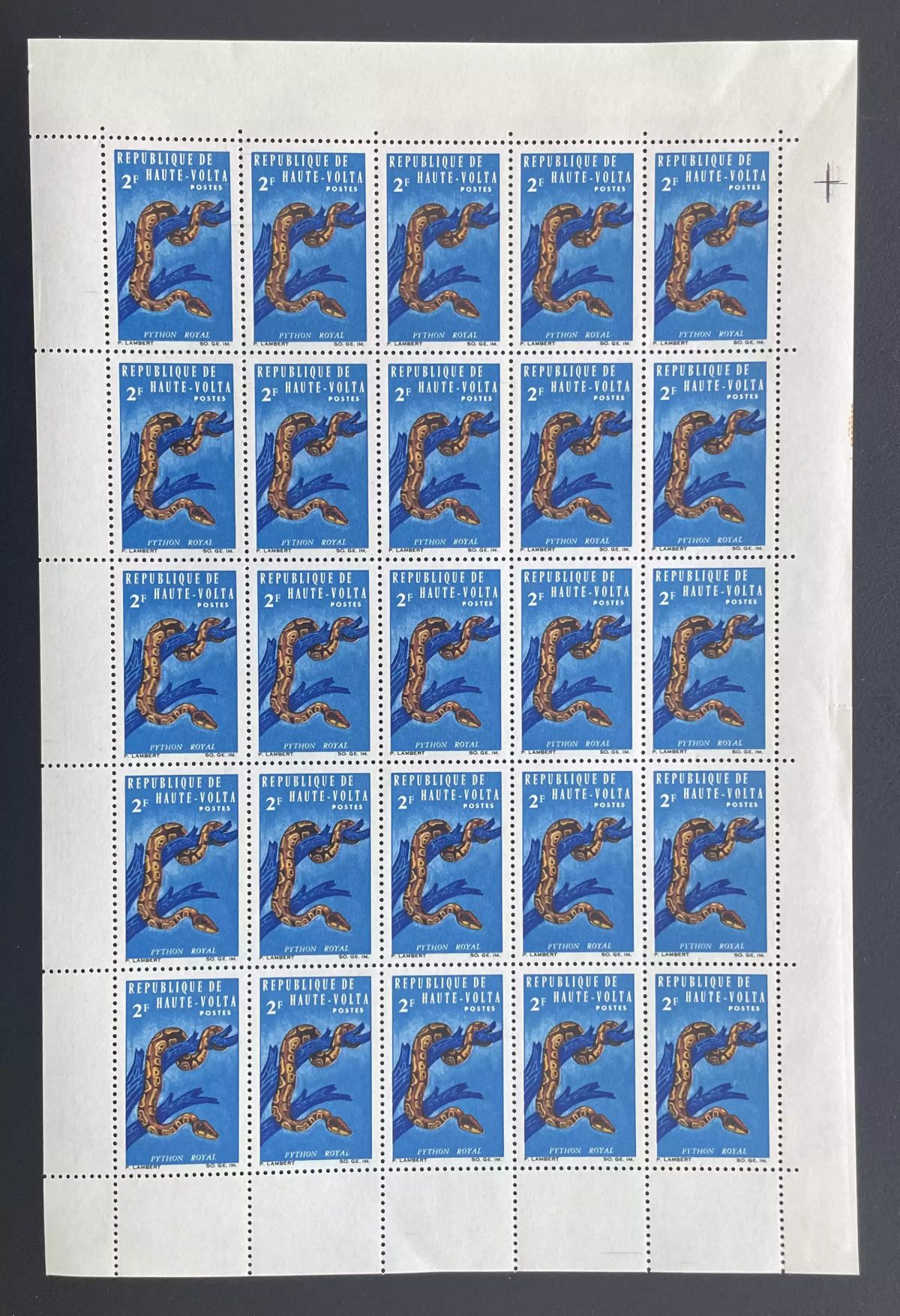 Obervolta 1966 YT 161 Königspython Schlange Reptil Fauna Tiere