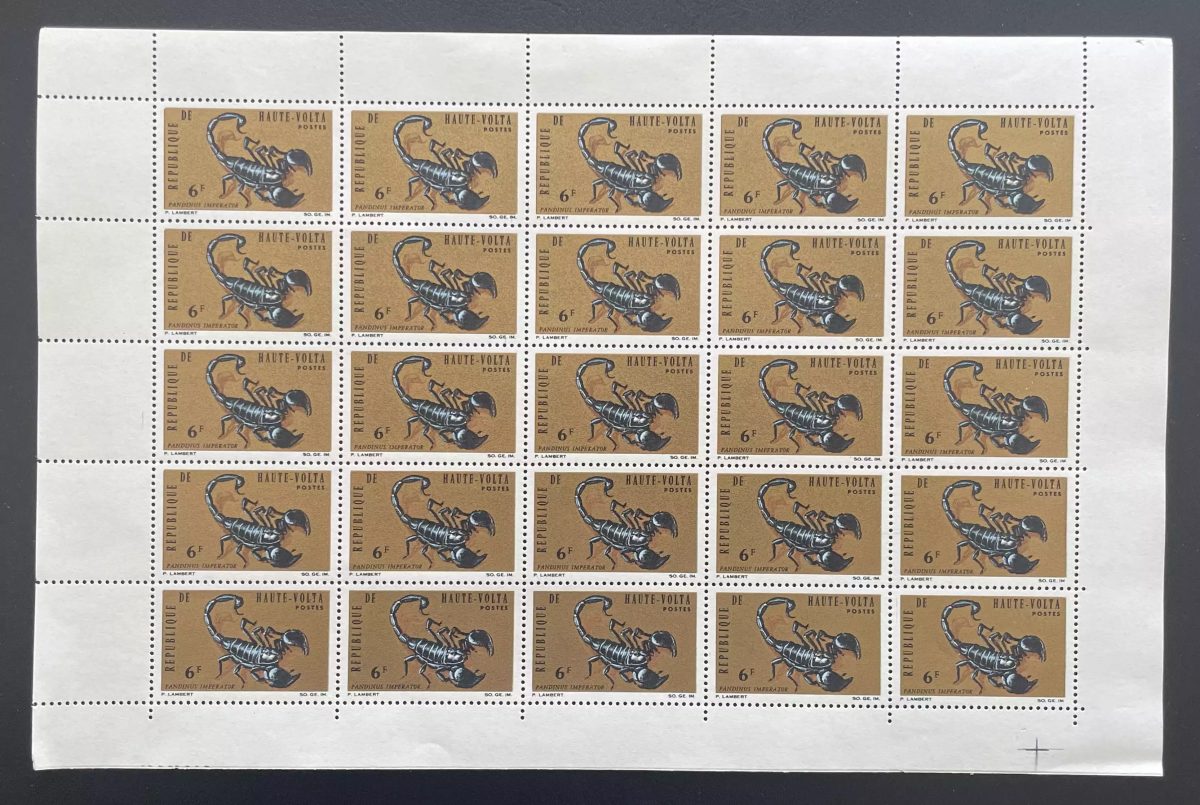 Haute-Volta 1966 YT 164 planche scorpion Pandinus Imperator faune arachnide