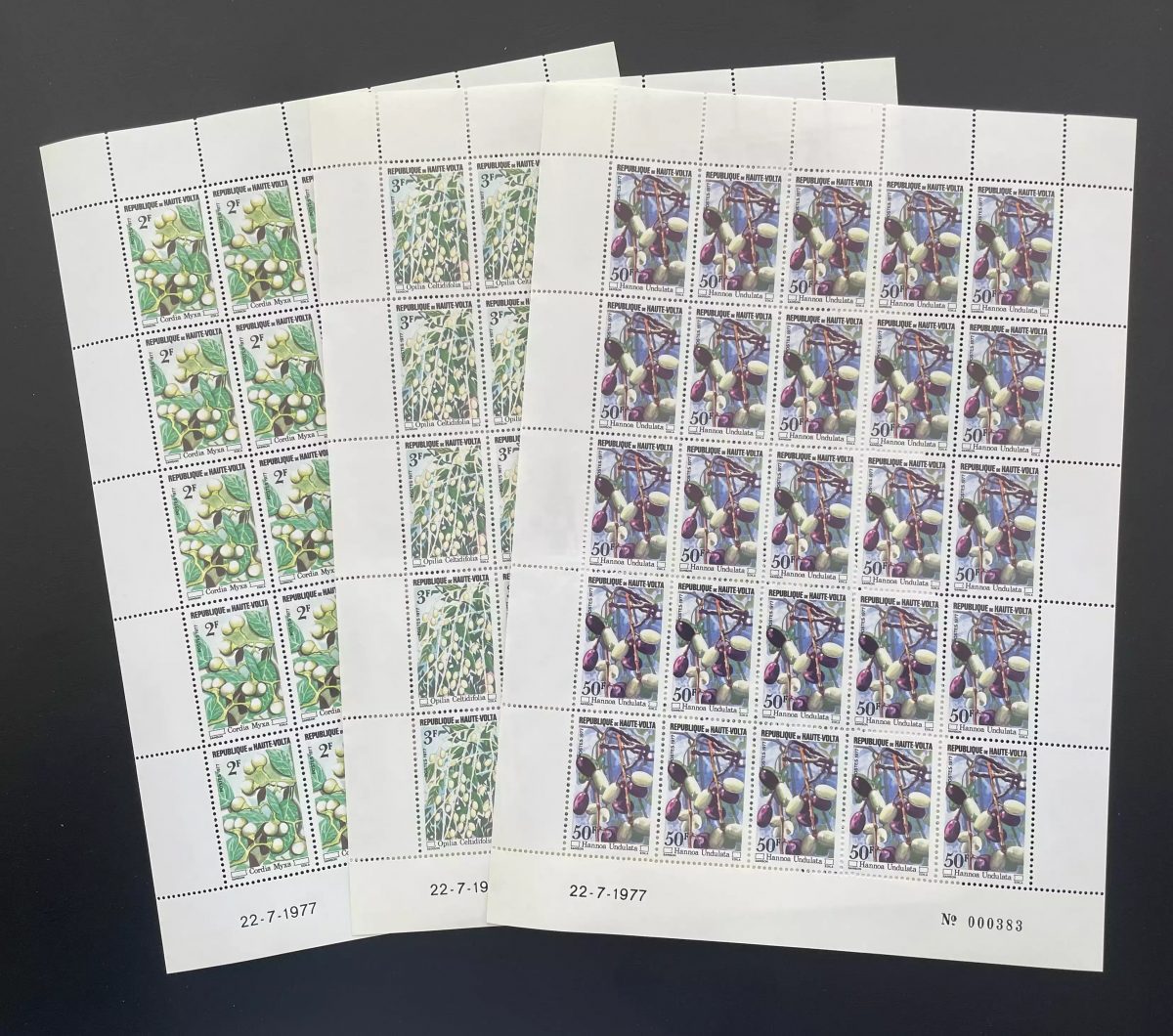 Haute-Volta 1977 YT 421-423 planche flore fruits plantes Cordia Opilia Hannoa