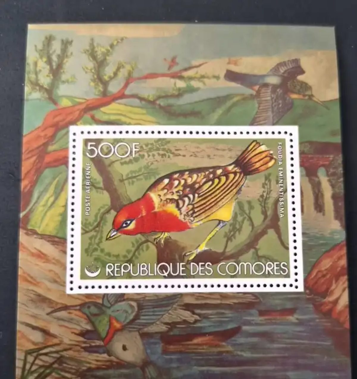 Comores 1979 Mi. Bl. 115 oiseaux Foudia eminentissima poste aérienne