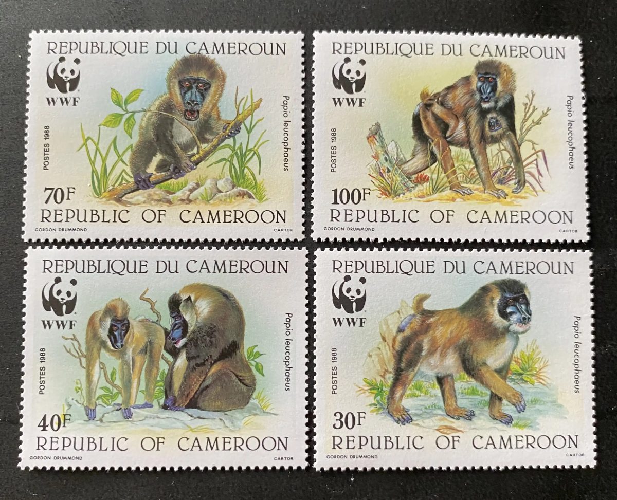 Cameroun 1988 Mi. 1155-58 WWF Papio leucophaeus drill singe faune