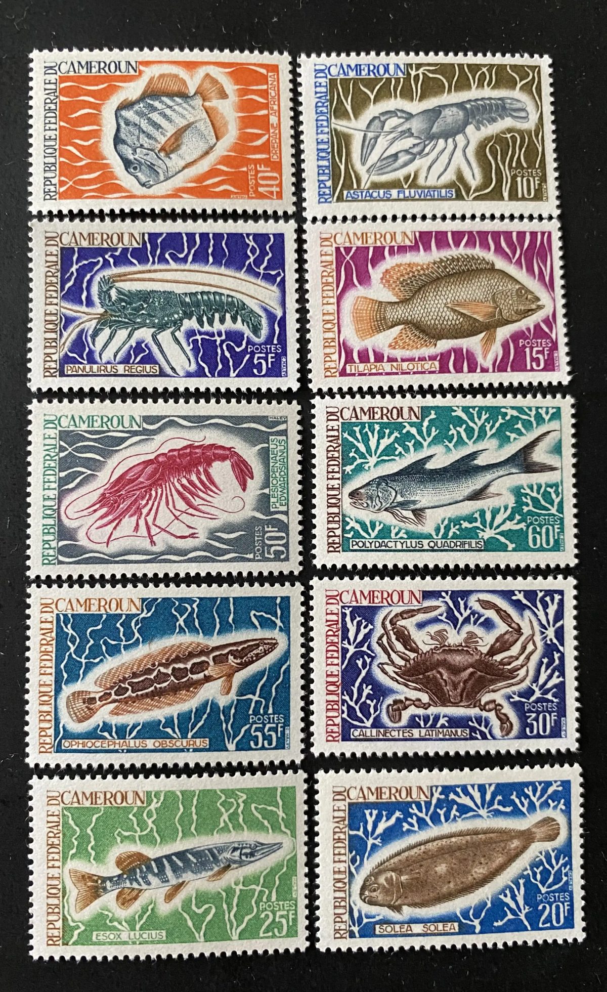 Cameroun 1968 Mi. 541-550 poissons crustacés crabe crevette sole tilapia