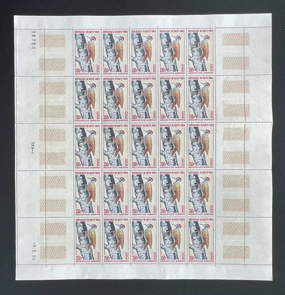Haute-Volta 1964 YT PA 18 planche Mesopicos goertae pic oiseau faune