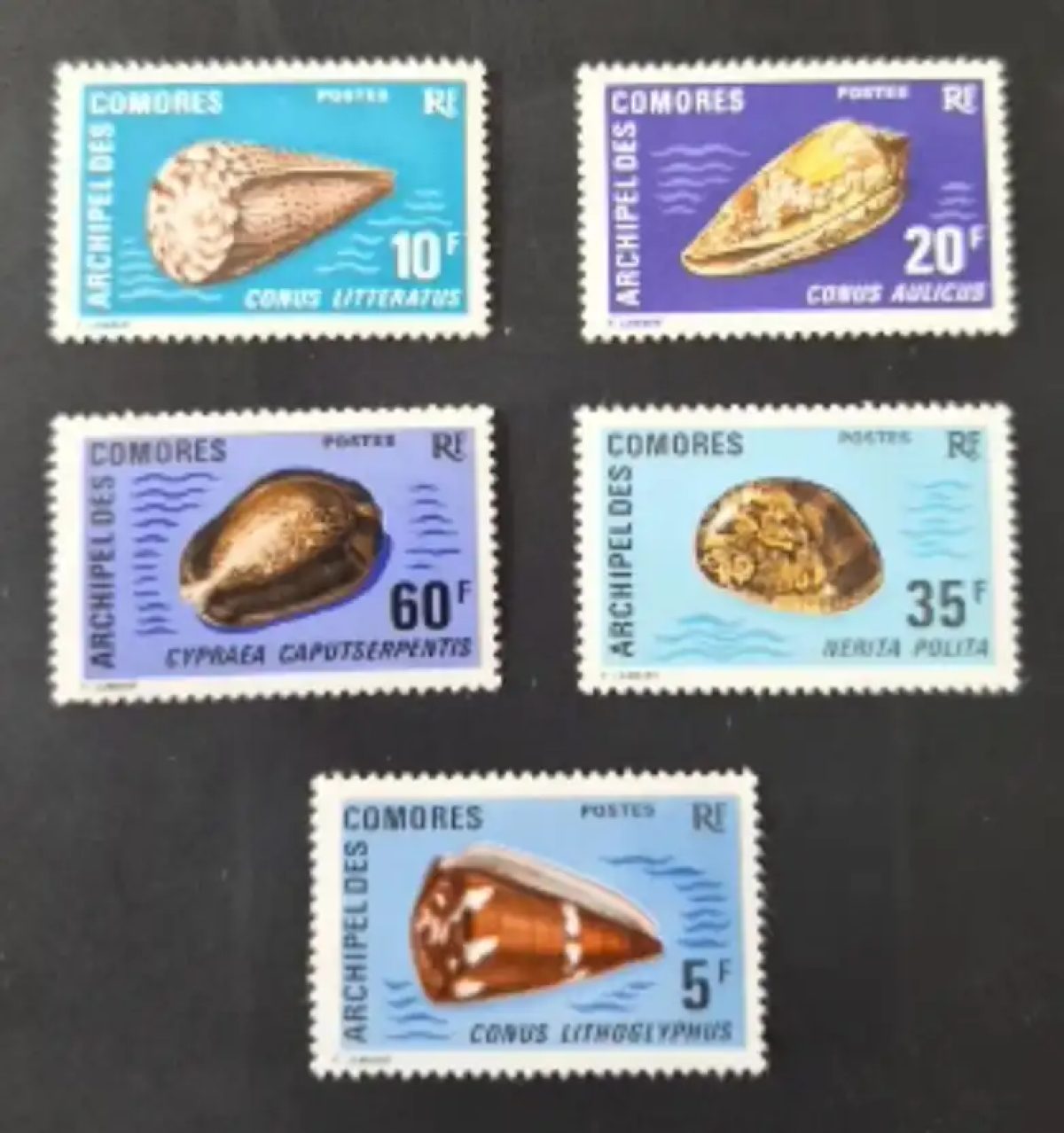 Comores 1971 Mi. 129-133 coquillages Conus Cypraea Nerita faune marine