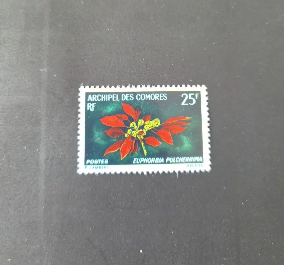 Comores 1970 Mi. 104 Euphorbia pulcherrima poinsettia fleur flore