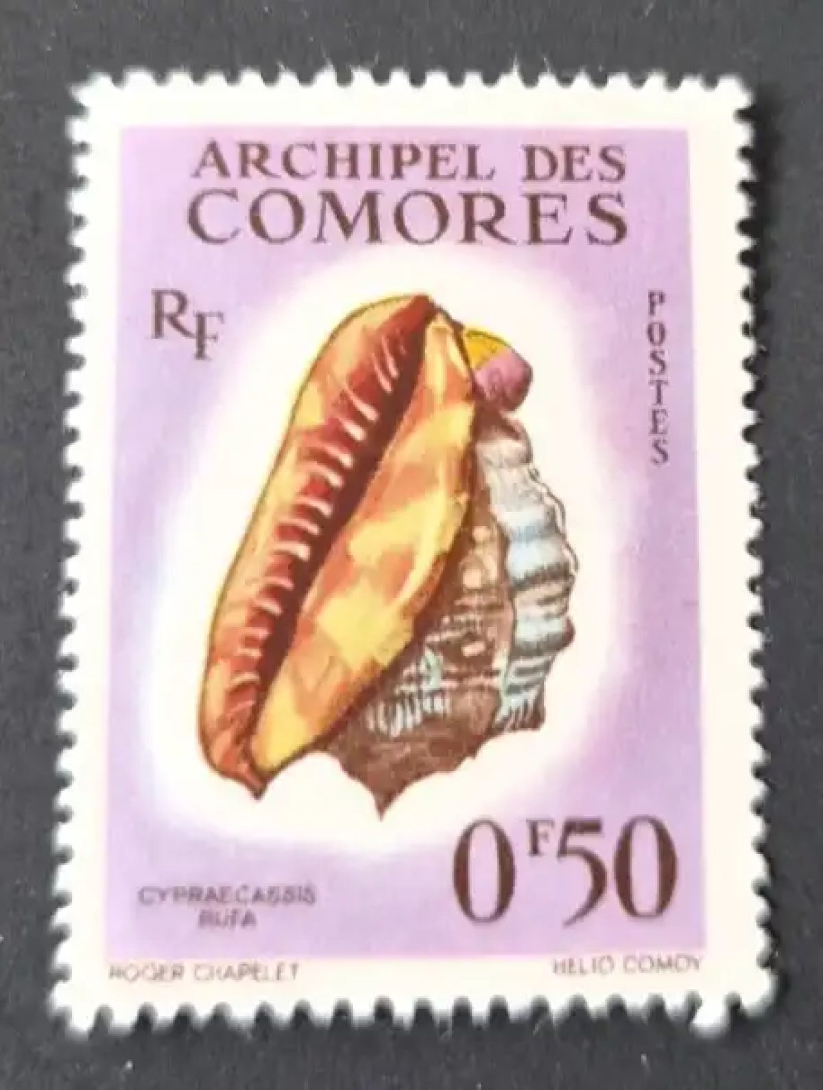 Komoren 1962 Mi. 42 Meeresschnecke Cypraecassis rufa Meerestierwelt