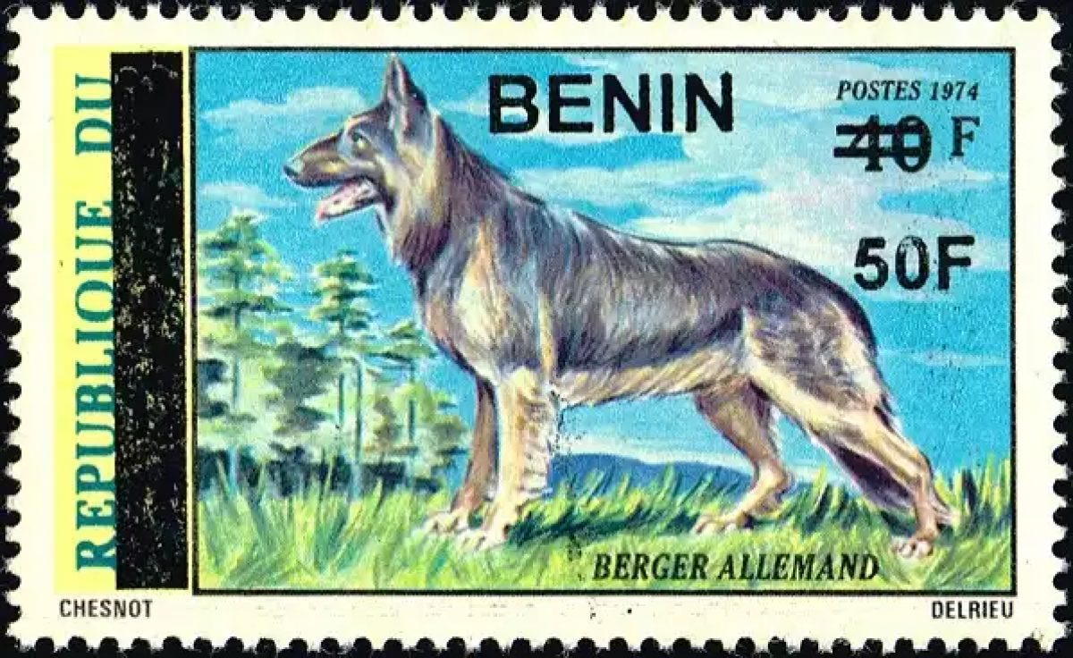 Benin 2009 Mi. 1580 surcharged German Shepherd dog fauna canid