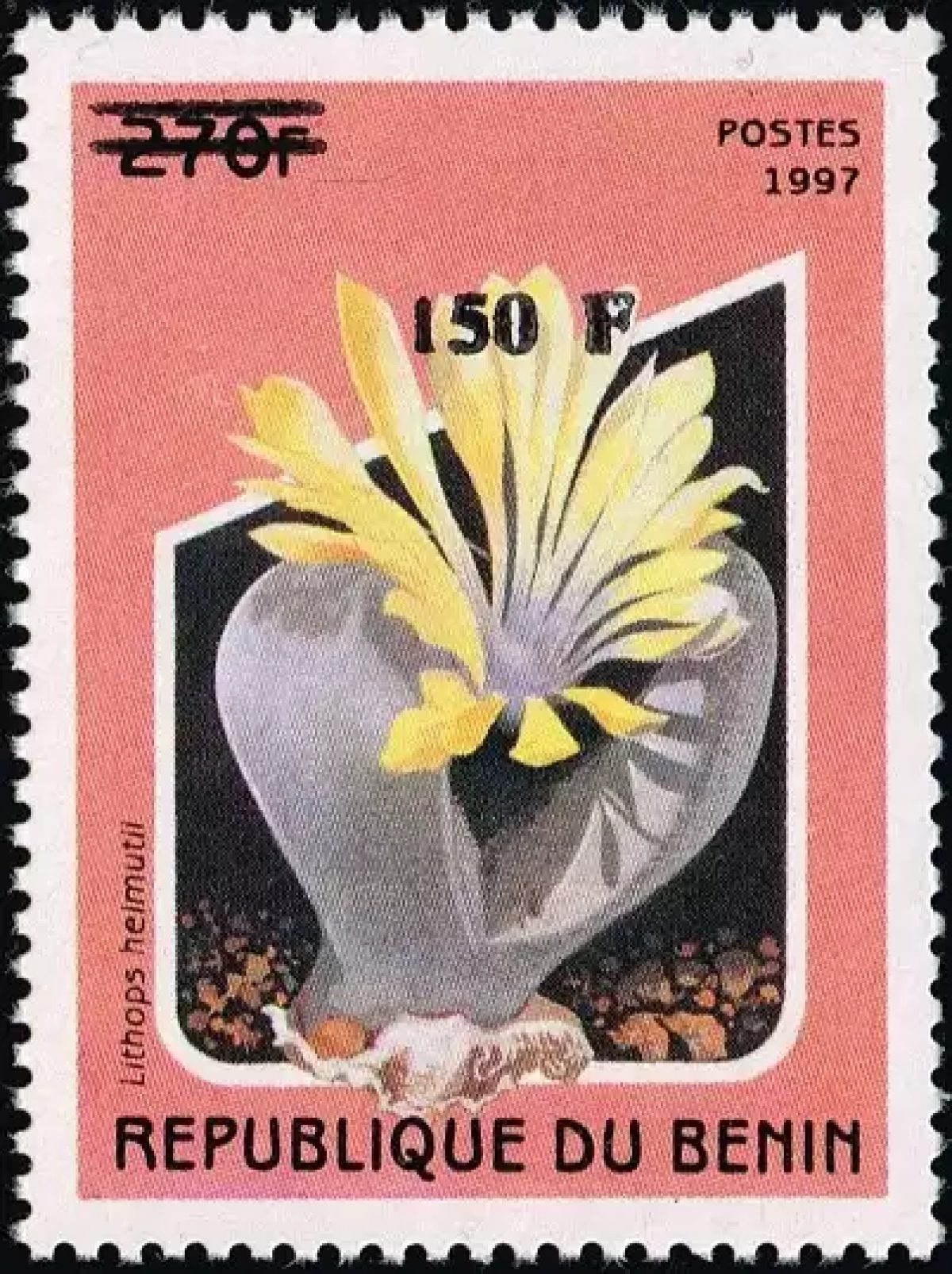 Bénin 2000 Mi. 1295 surchargé Lithops helmutii plante succulente fleur