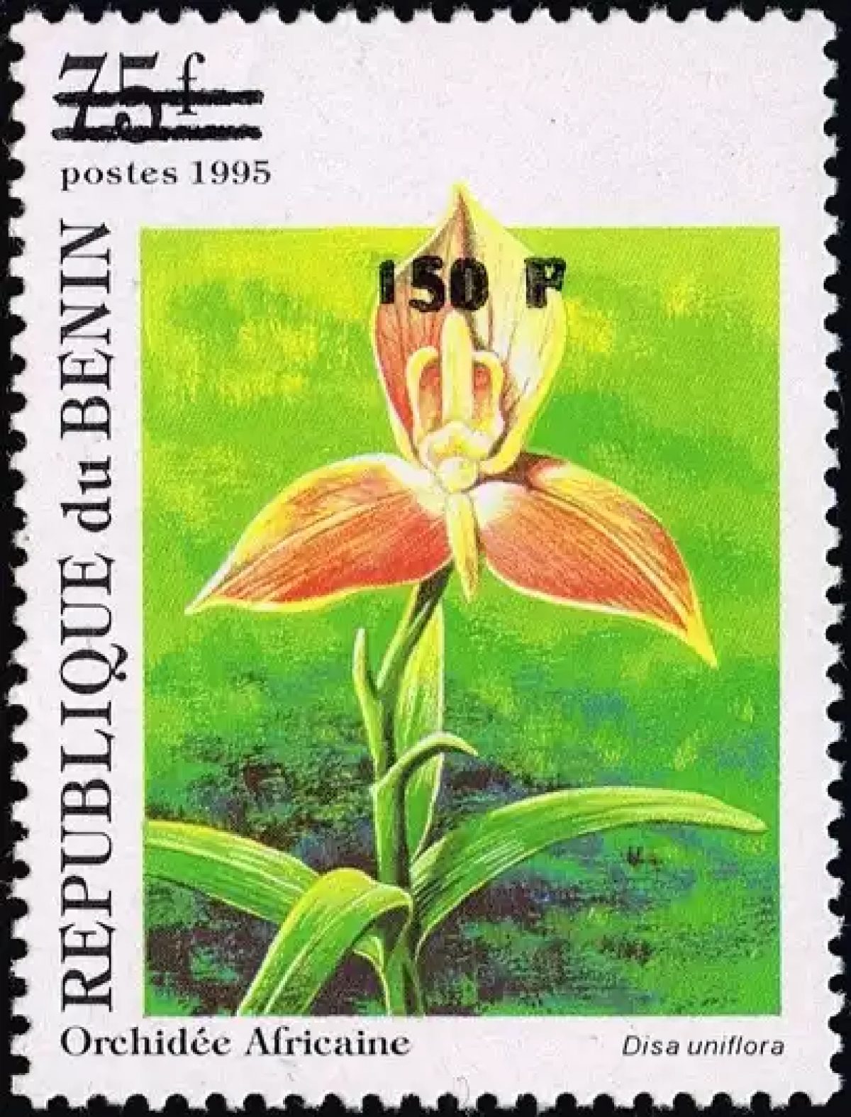 Bénin 2000 Mi. 1257 surchargé orchidée africaine Disa uniflora flore