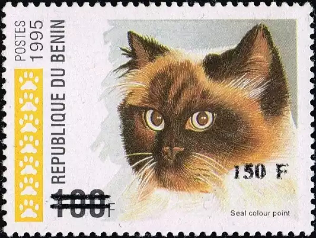 Bénin 2000 Mi. 1273 surchargé 150F sur 100F chat Seal Colour Point