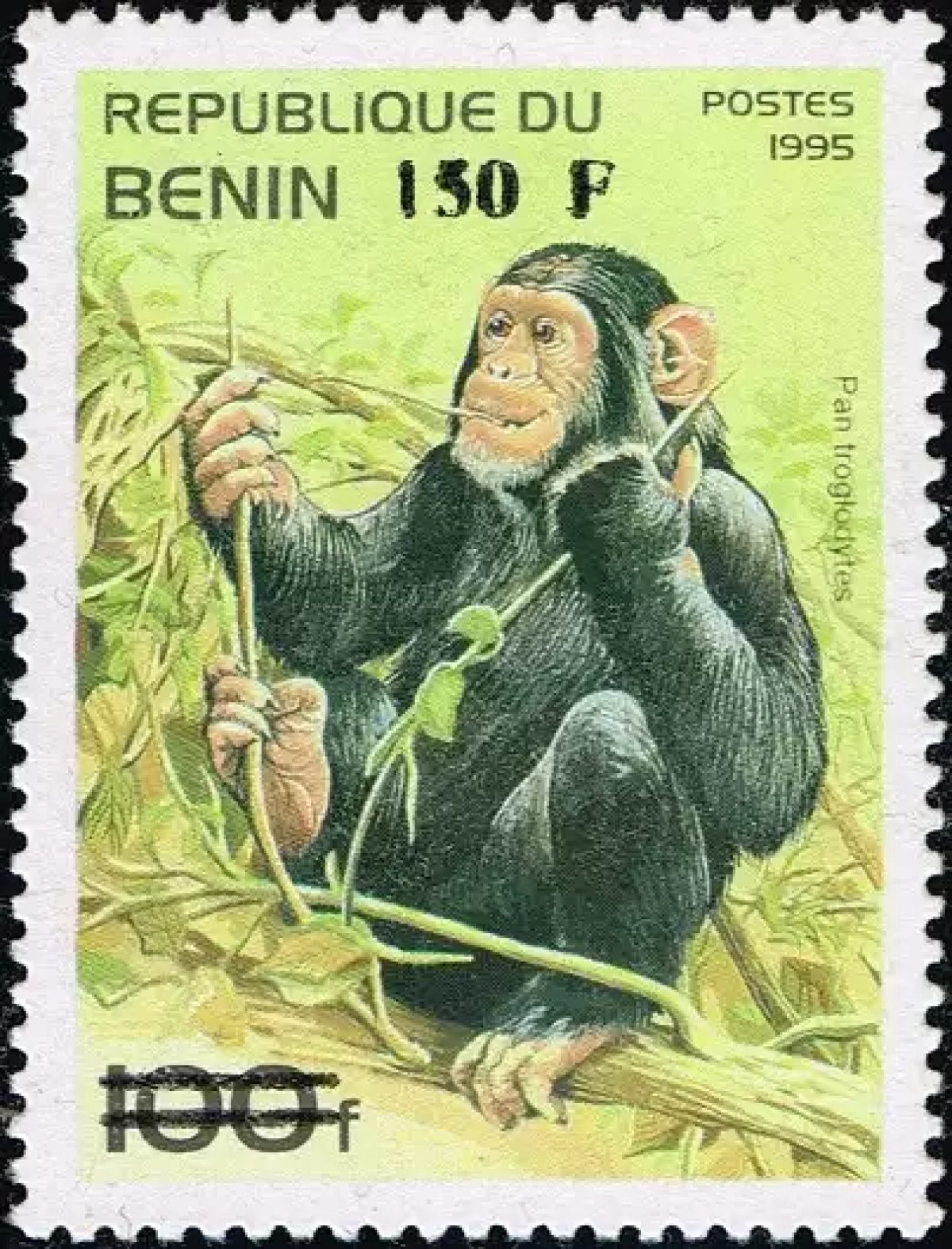 Bénin 2000 Mi. 1275 surchargé chimpanzé Pan troglodytes primate faune