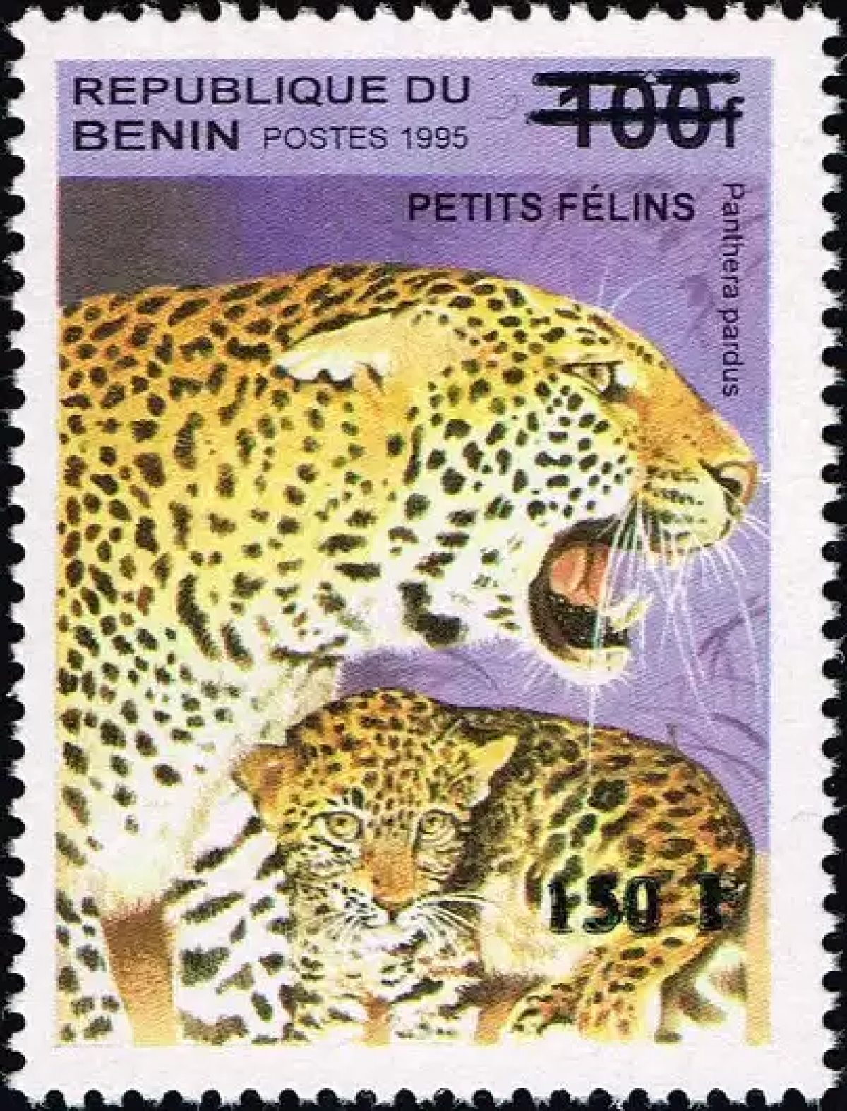 Bénin 2000 Mi. 1277 surchargé léopard petits félins Panthera pardus