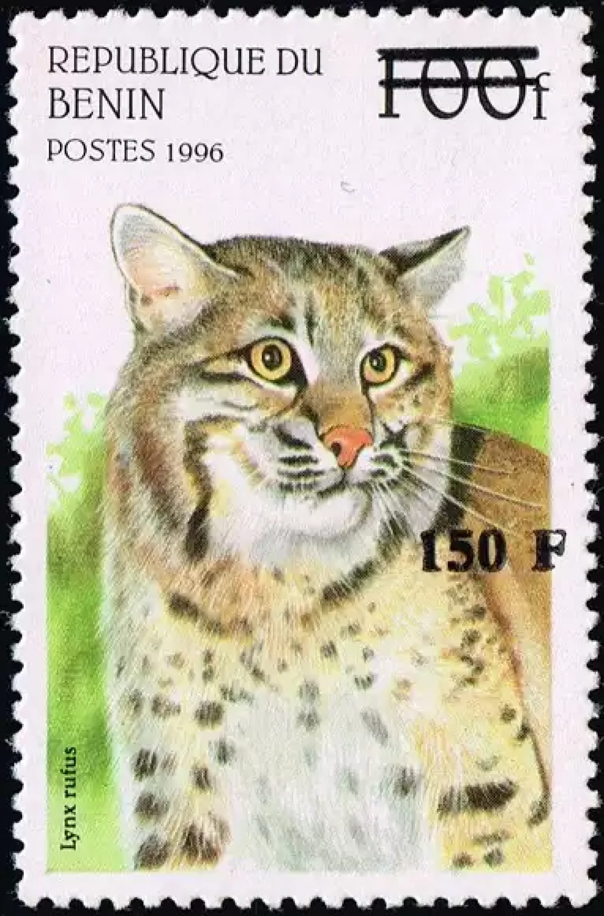 Bénin 2000 Mi. 1282 surchargé Lynx rufus félin chat sauvage faune