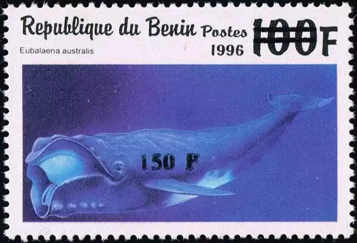 Benin 2000 Mi. 1286 overprint Southern Right Whale marine fauna