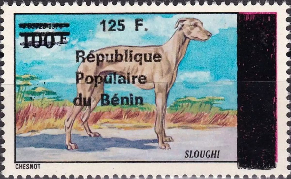 Benin 1988 Mi. D473 overprint Sloughi greyhound dog fauna animals