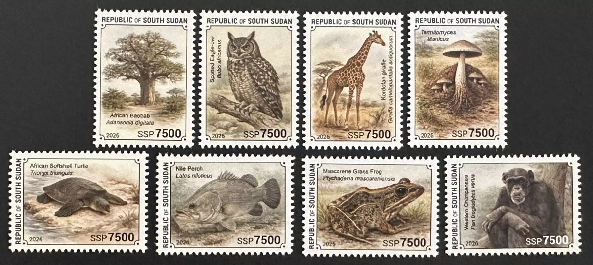 South Sudan 2026 Wildlife baobab owl giraffe mushroom turtle frog