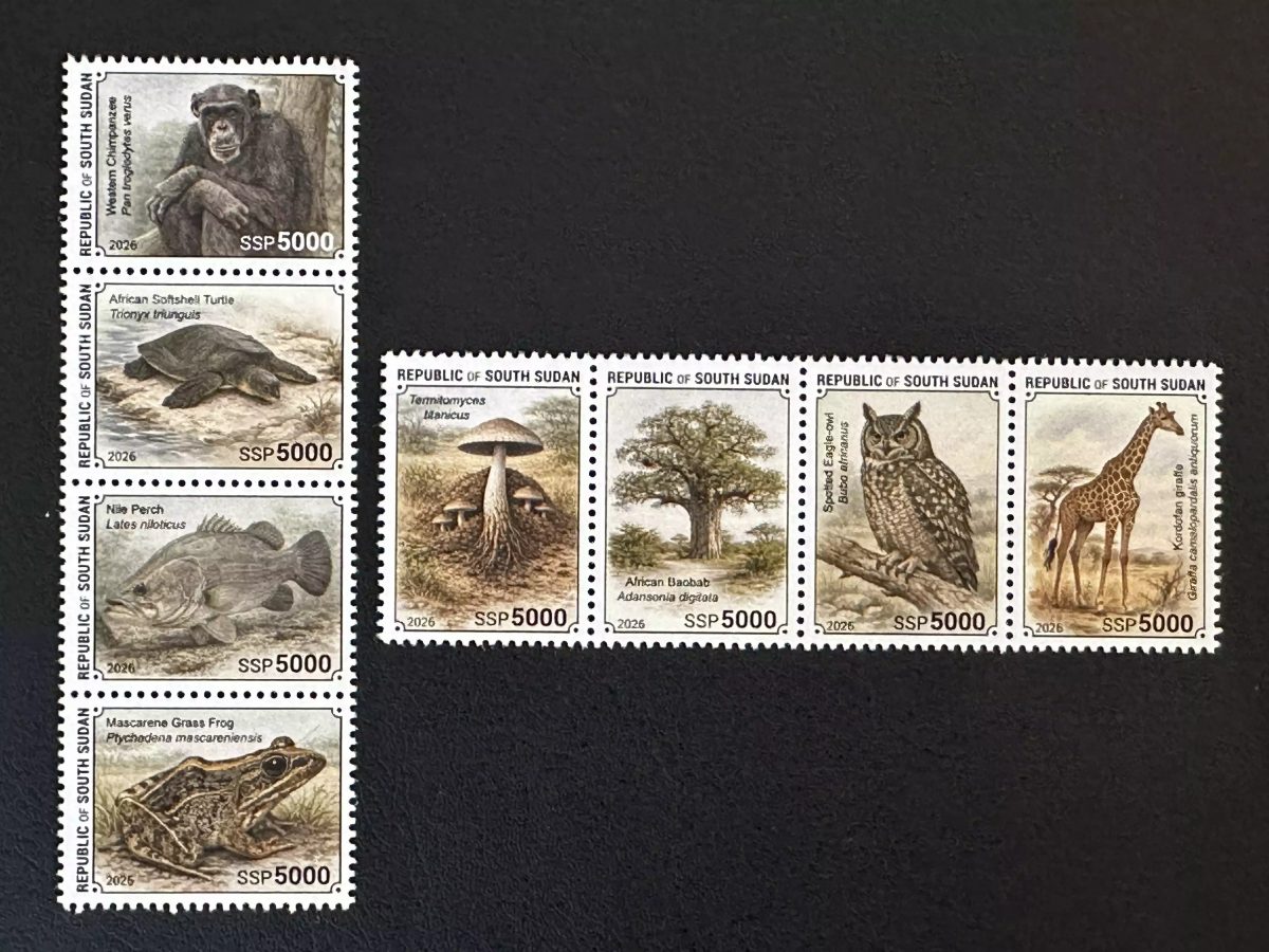 South Sudan 2026 Wildlife chimpanzee turtle perch frog giraffe owl