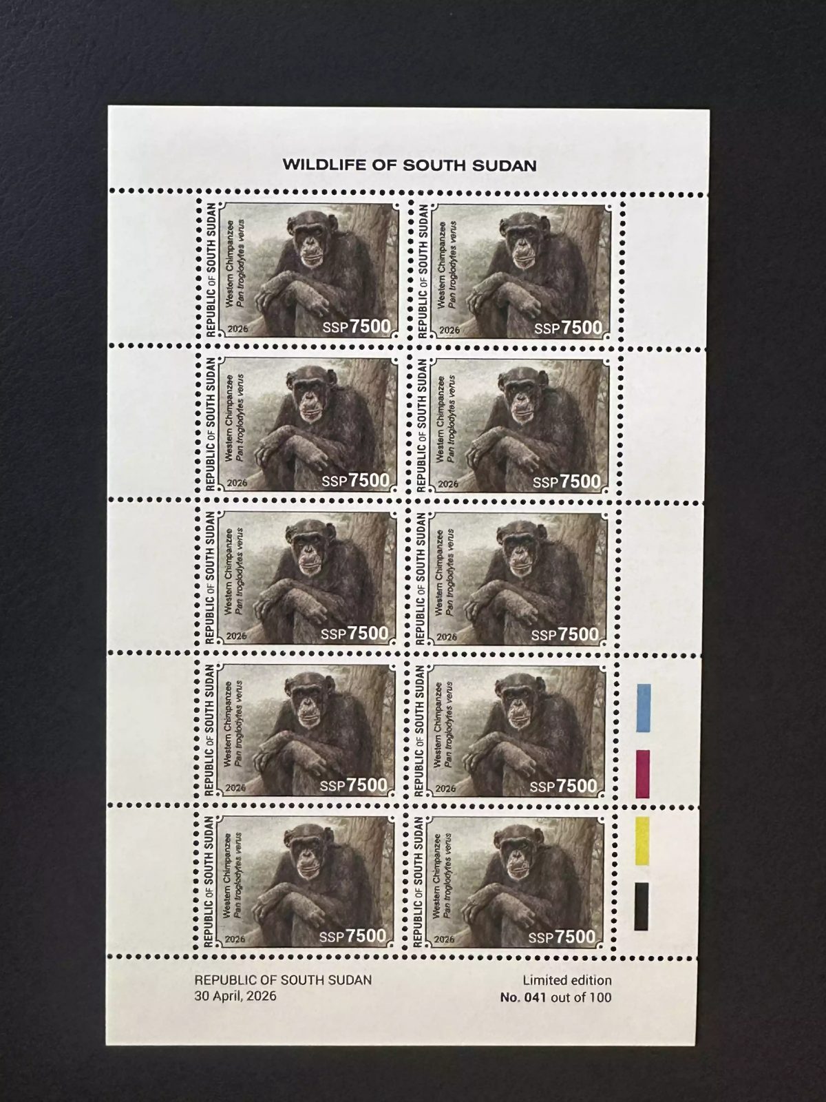 Sud-Soudan 2026 feuillet chimpanzé occidental faune sauvage primate