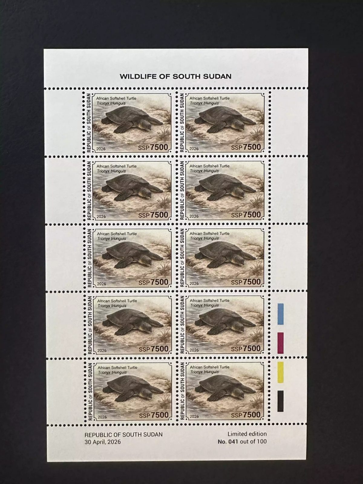 Südsudan 2026 Block Afrikanische Weichschildkröte Trionyx triunguis Fauna