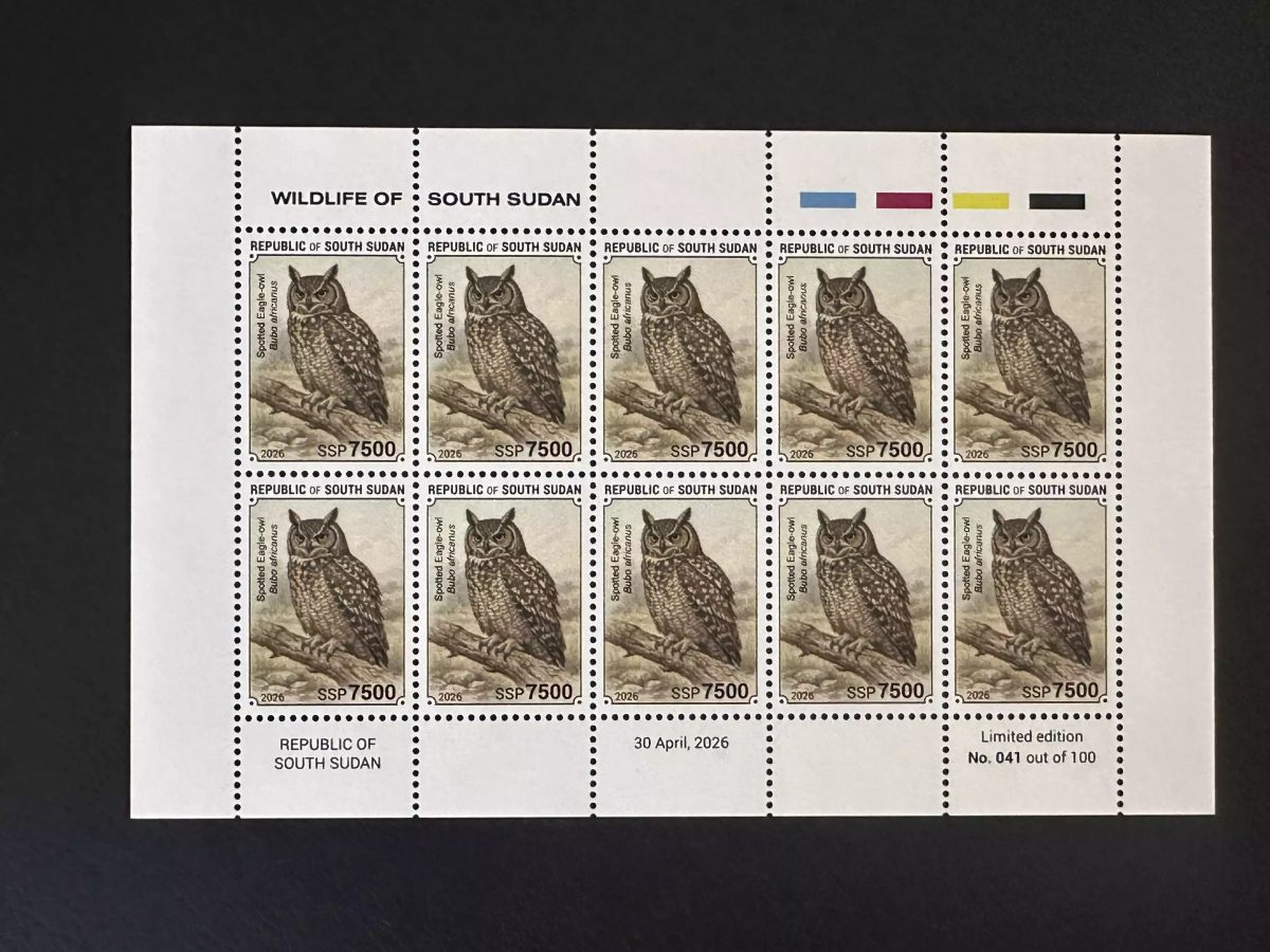 South Sudan 2026 sheet African Eagle-Owl Bubo africanus raptor owl