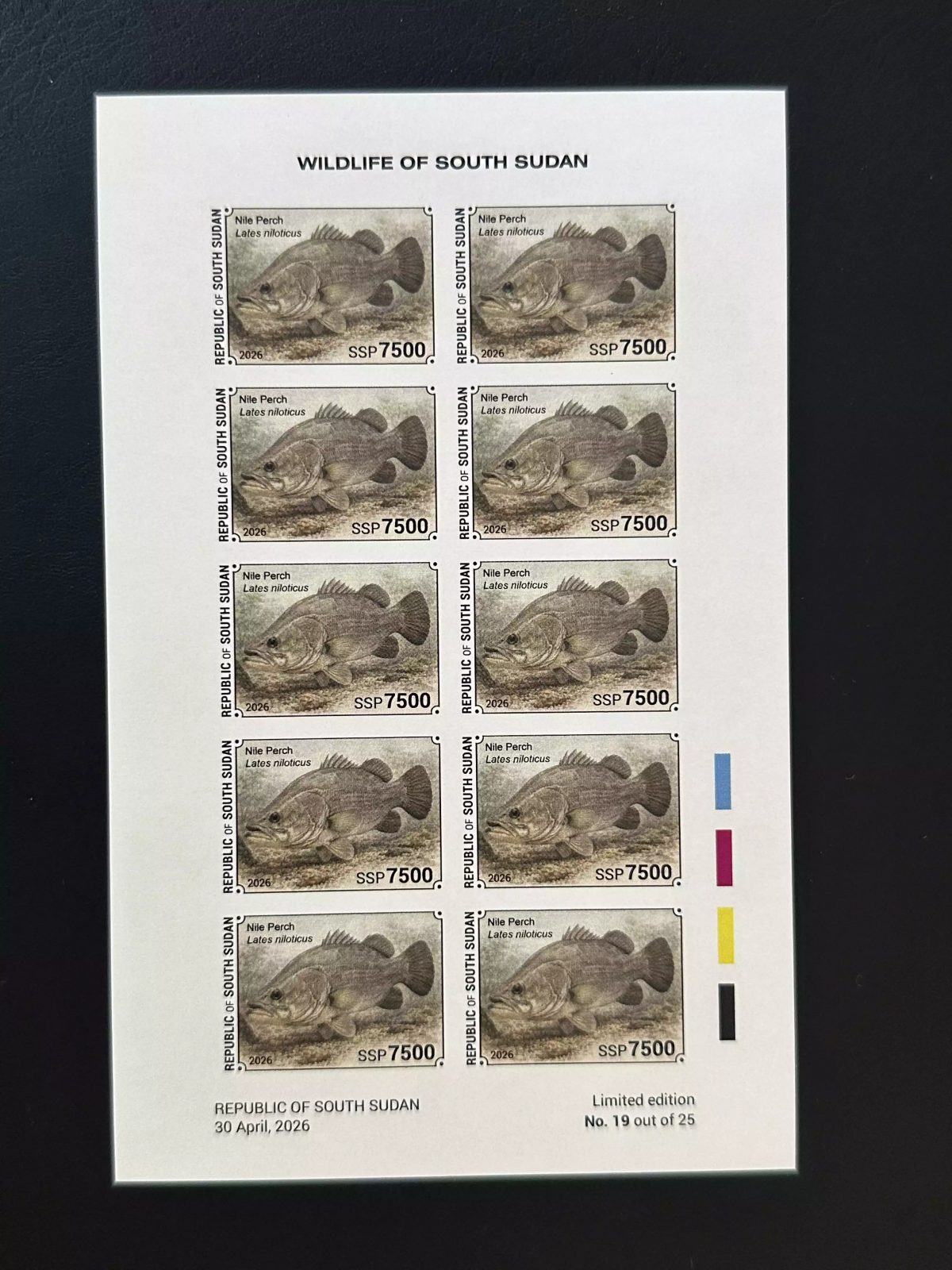 Sud-Soudan 2026 feuillet ND Perche du Nil Lates niloticus faune poisson