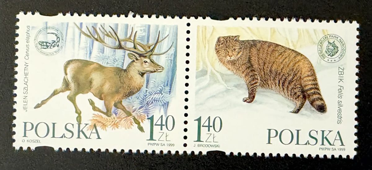 Pologne 1999 Mi. 3787-3788 émission commune cerf chat sauvage faune
