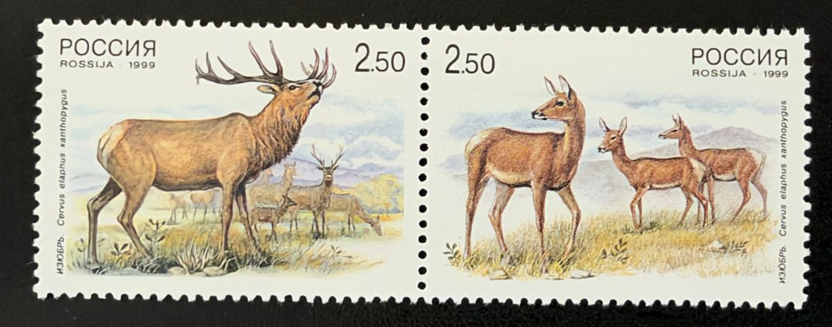 Russie 1999 Mi. 723-724 émission commune cerf élaphe faune animaux