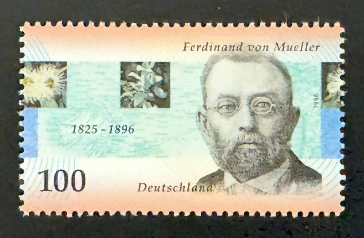 Germany 1996 Mi. 1889 joint issue Ferdinand von Mueller botanist