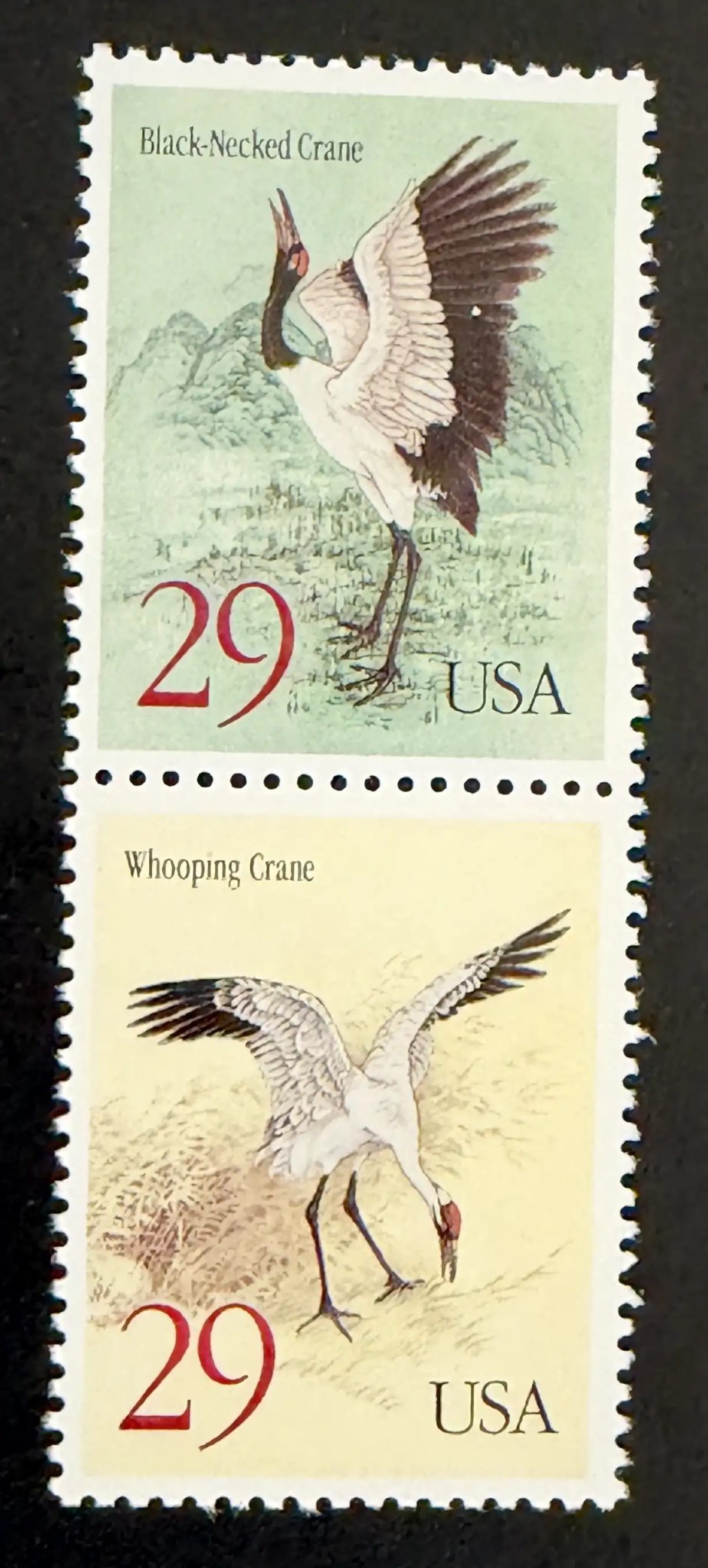 USA 1994 Mi. 2504-2505 joint issue cranes birds fauna