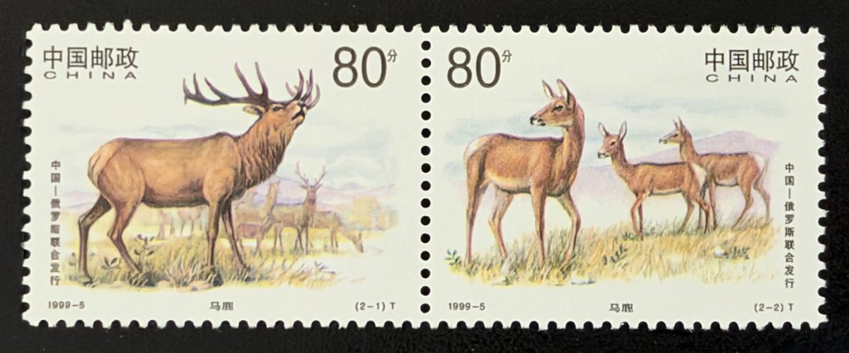 Chine 1999 Mi. 3012-3013 émission commune Russie cerf élaphe faune
