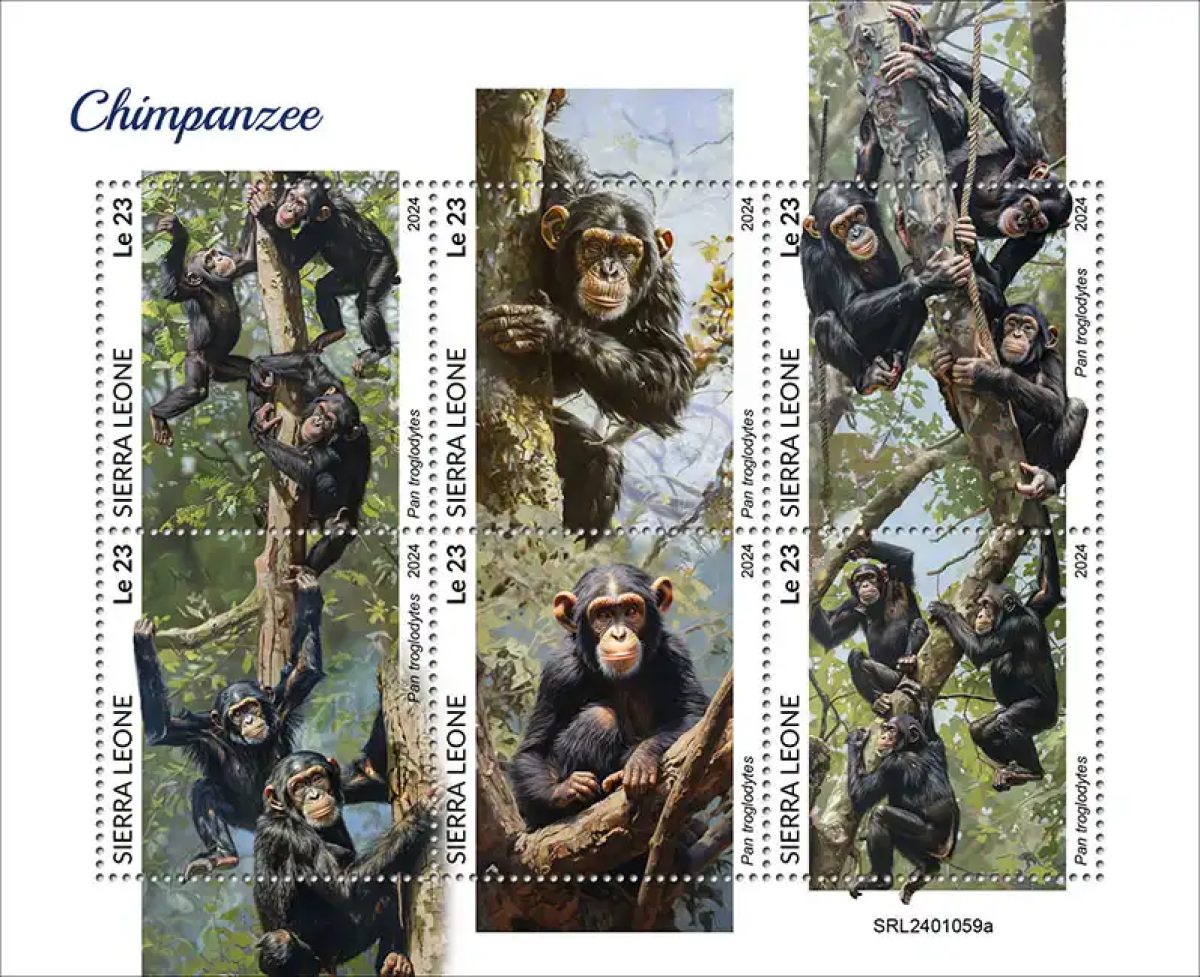Sierra Leone 2024 Mi. 18180-18185 feuillet chimpanzés singes