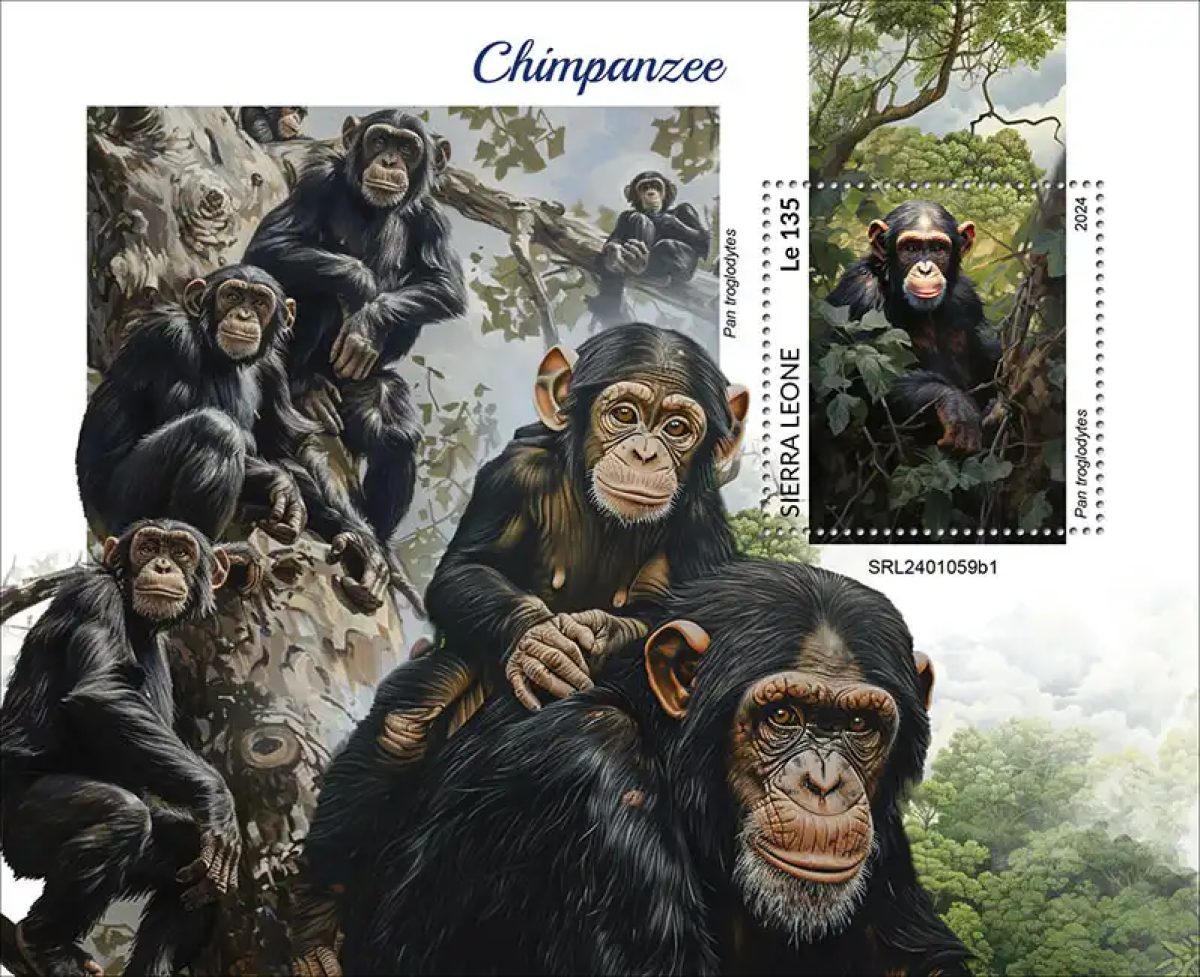 Sierra Leone 2024 Mi. Bl. 3164 bloc chimpanzés singes