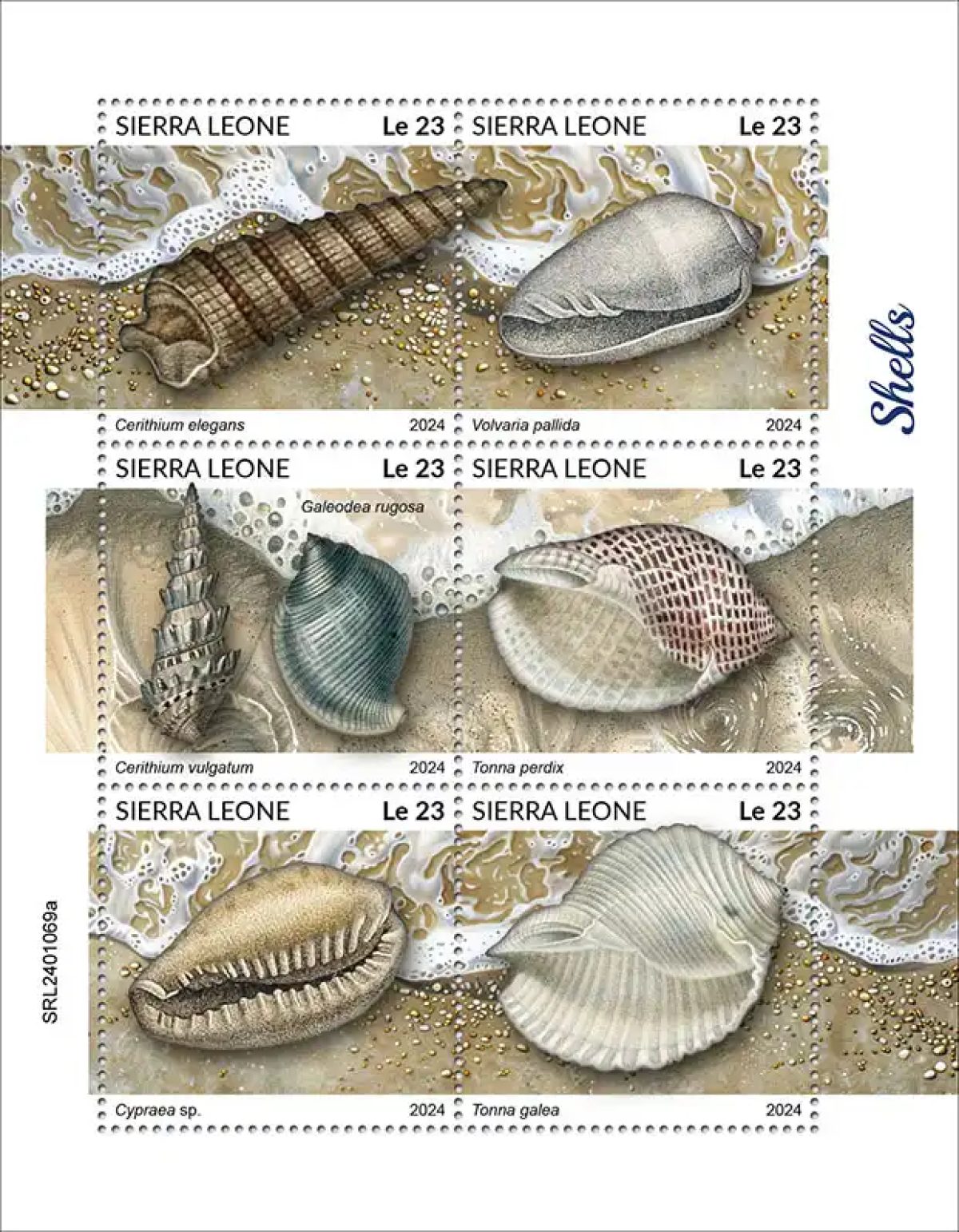Sierra Leone 2024 Mi. 18044-18049 feuillet coquillages