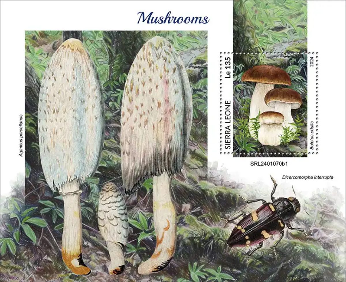 Sierra Leone 2024 Mi. Bl. 3132 bloc champignons cèpes morilles