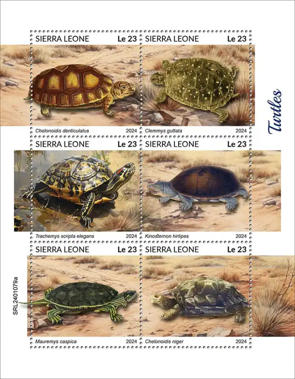 Sierra Leone 2024 Mi. 18124-18129 feuillet tortues