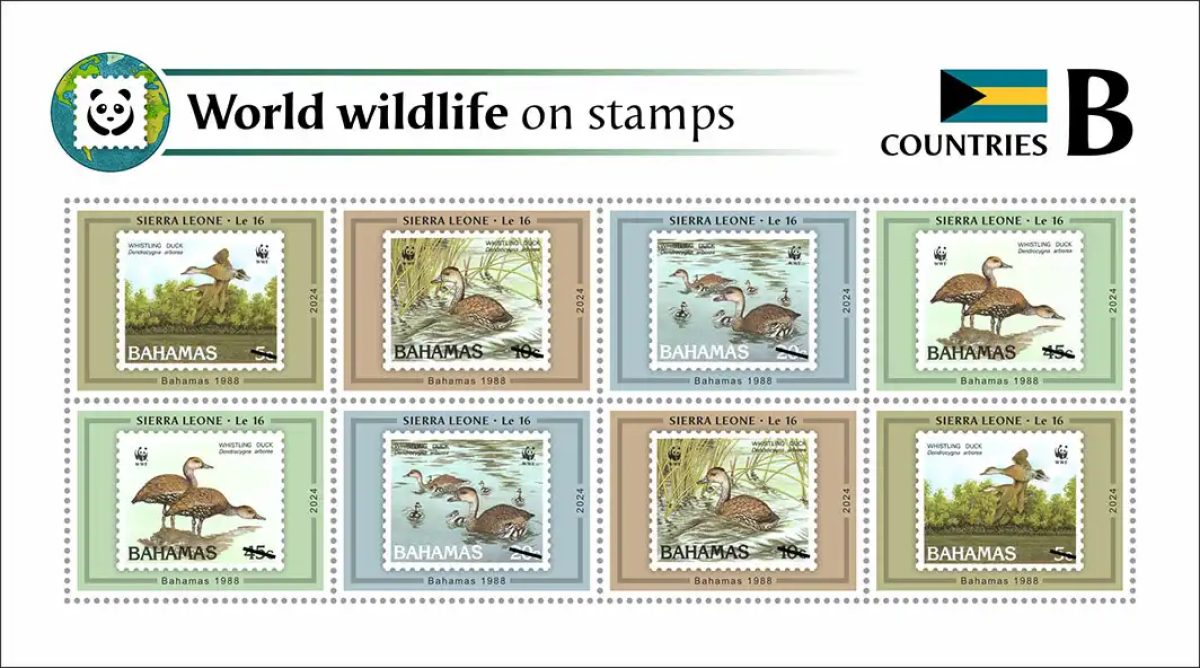 Sierra Leone 2024 Mi. 18910-18913 feuillet de 8 faune du monde pays B WWF
