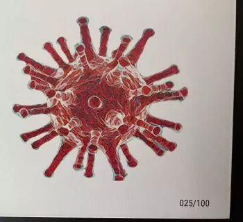 Official Euro Souvenir Cover - COVID-19