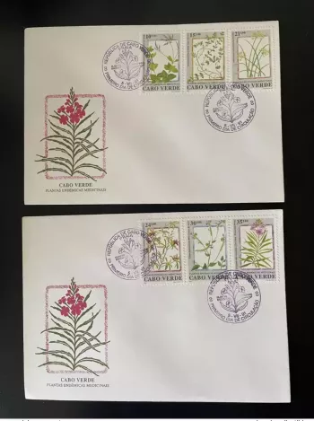 Cabo Verde 1991 Mi. 614 - 619 FDC Endemic Plants Medicinal