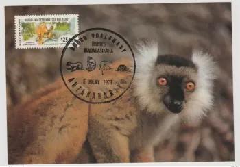 Madagascar 1979 Mi. 847 Map Maximum Lemur Fauna Akomba