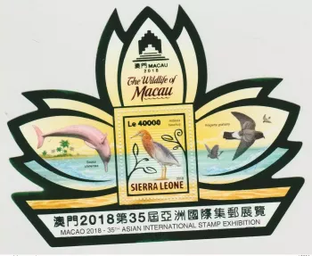 Sierra Leone 2018 Mi. Bl. ? Foil Wildlife of Macau Faune Dauphin birds Oiseaux