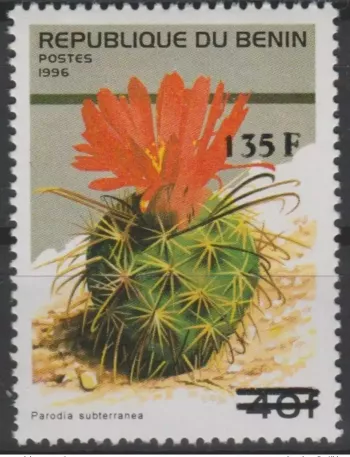 Bénin 2000 Mi. 1245 Flore Parodia Subterranea Cactus plante surchargé MNH**