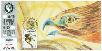 128 Offizielle Karte Ausstellung Paris 1995 FDC Audubon Rauhfußbussard Vogel