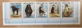 Senegal 1996 Mi.1447 - 1451 Fauna Monkeys Affen Primates RARE MNH