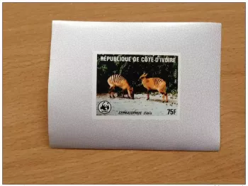 Elfenbeinküste 1985 WWF Fauna Zebra Cephalophus Luxusprobe Proof SELTEN!