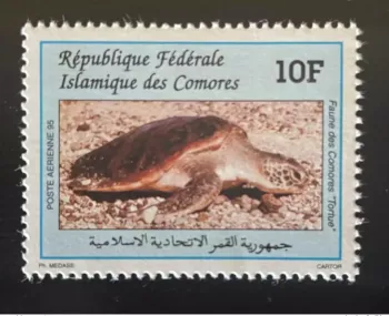 Comoros 1995 Mi. 1121 Wildlife Turtle Schildkröte