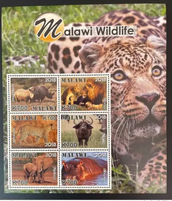 Malawi 2018 / 2019 Mi. 1022 - 1027 Panthère Leopard Elephant Lion Rhinoceros