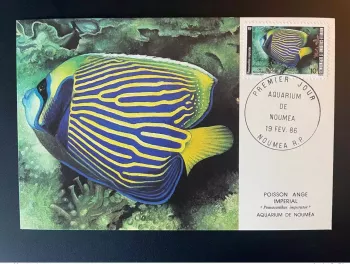 New Caledonia 1986 Maxi Map Aquarium of Nouméa Imperial Angelfish