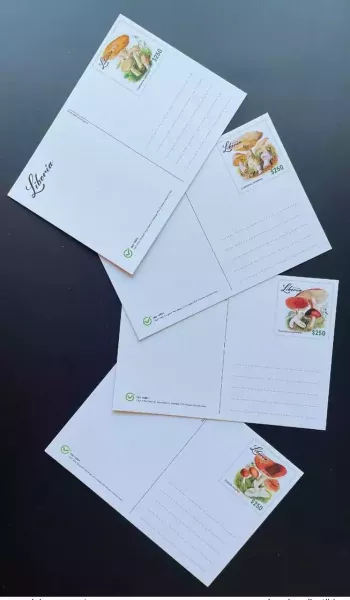 Liberia 2022 Mi. ? Stationery Entier Ganzsache Mushroom Champignon Funghi Pilz